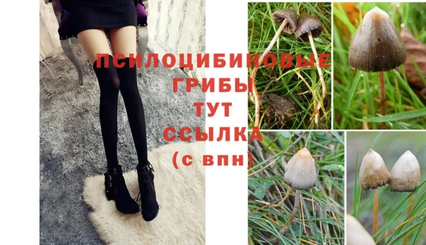 эйфоретик Балабаново