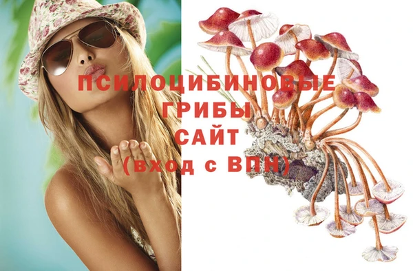 2c-b Белокуриха